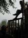 Hotan_fence