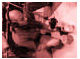 03_foley_glasses02